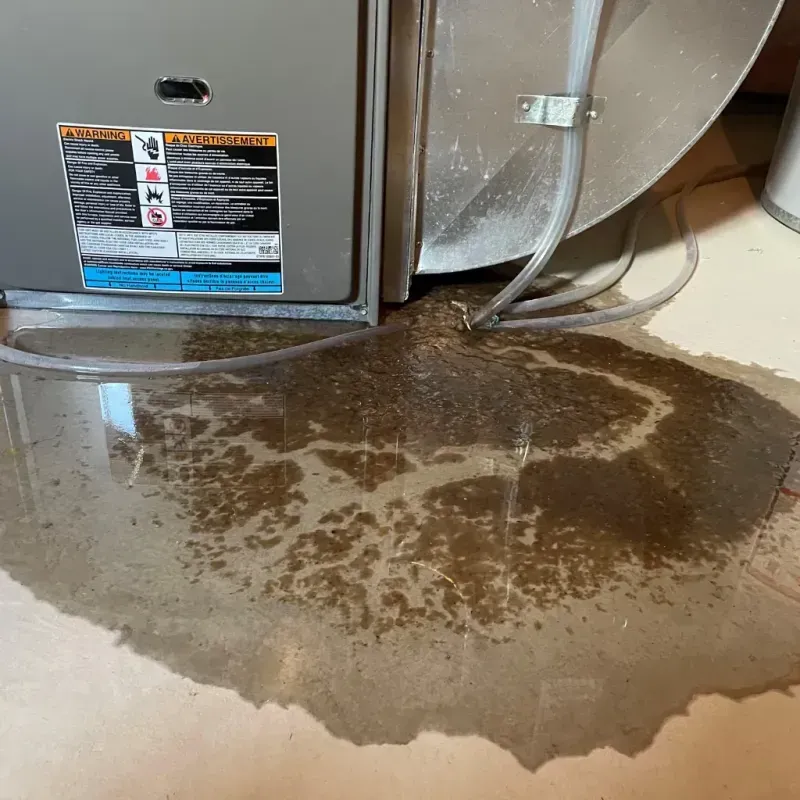 Appliance Leak Cleanup in Livingston, AL